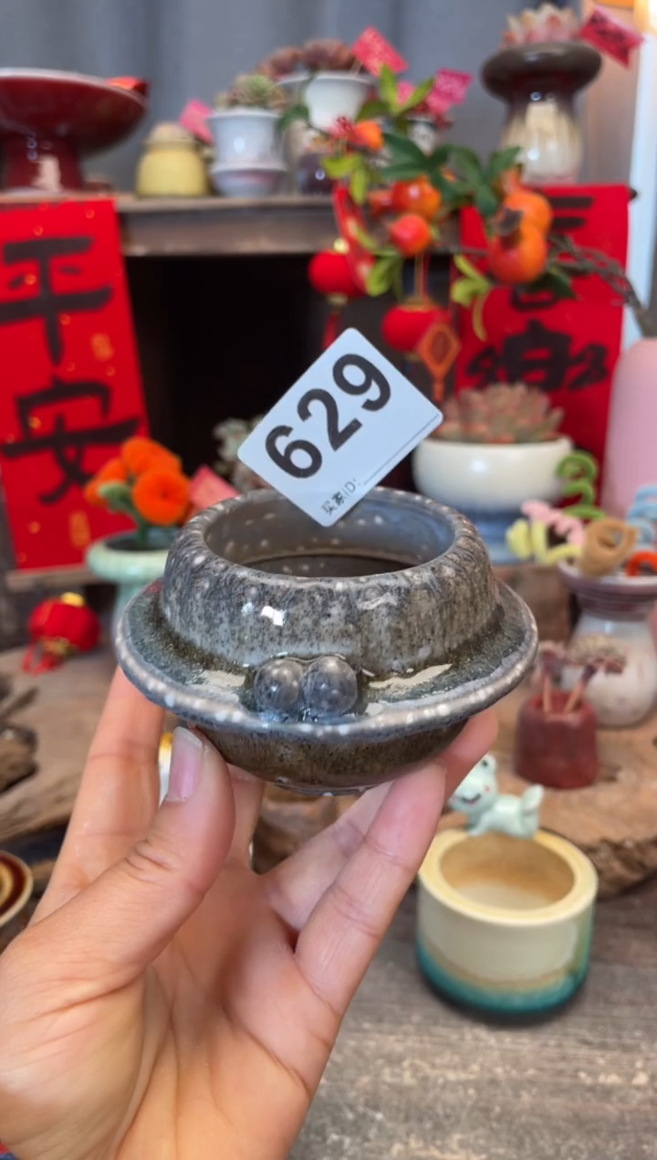 【闪购商品】摆件629知木小芳花盆