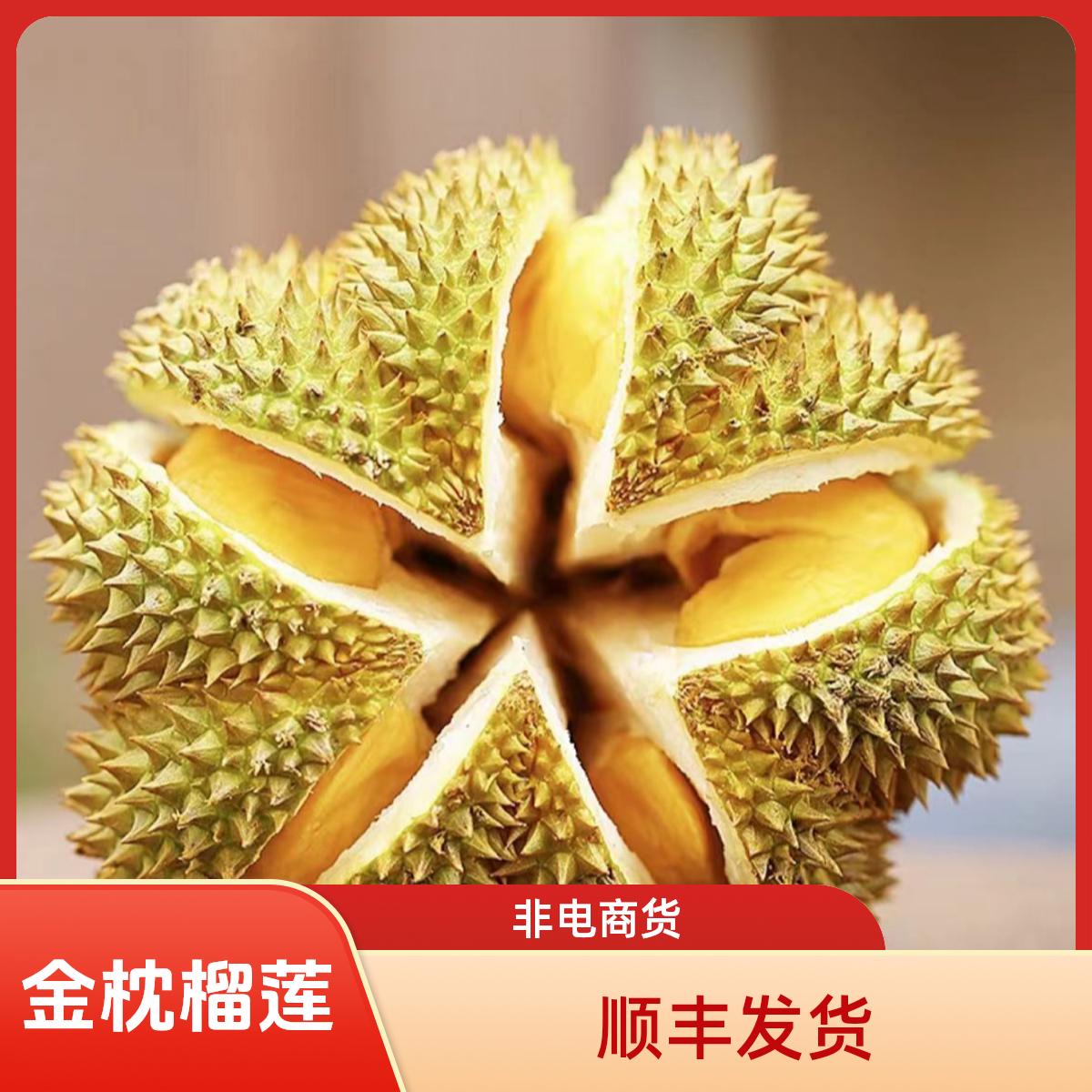 【今拍明到】规格发抢不到不用等金枕鲜榴莲带壳树熟核小3-8斤肉多榴莲（非一物一拍）金枕越南社会主义共和国