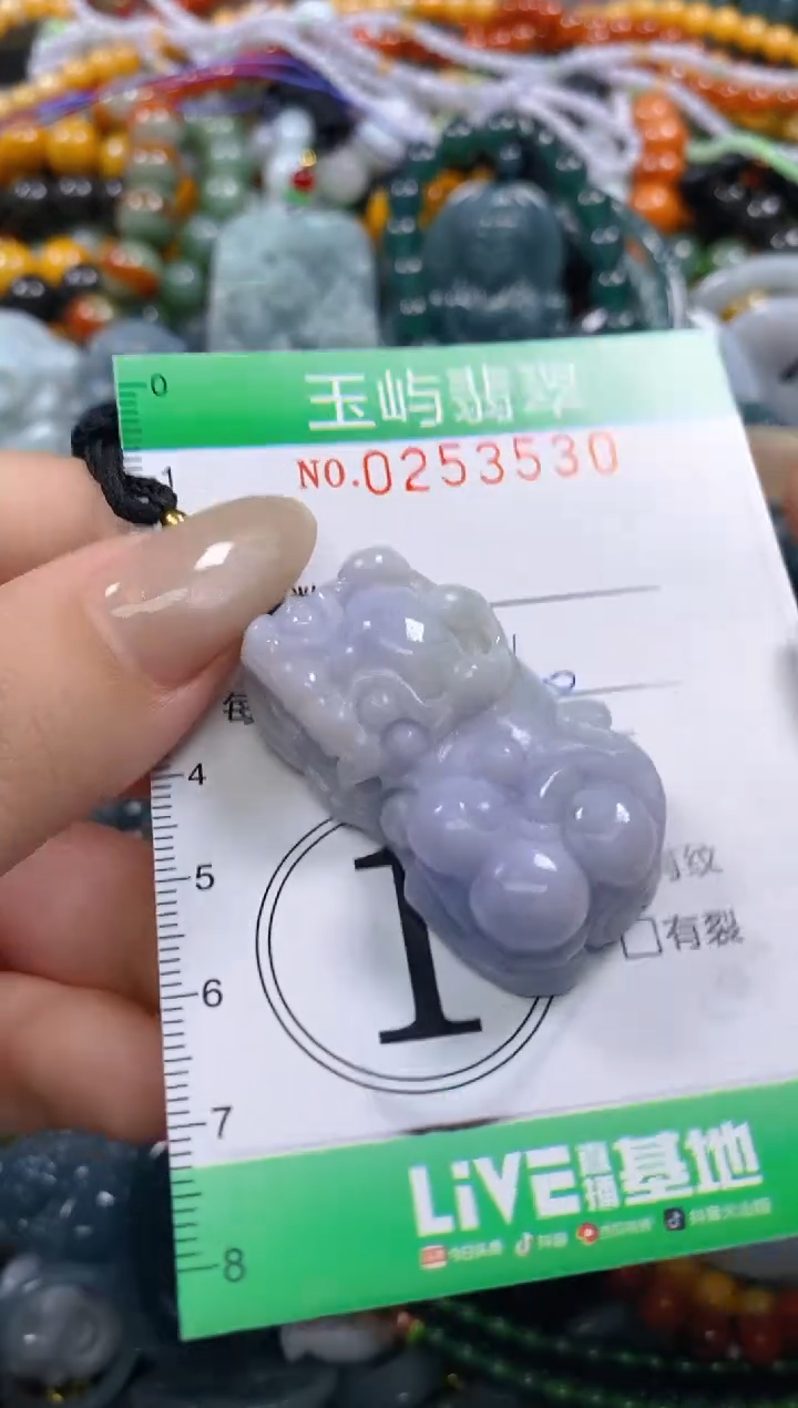 颈饰未镶嵌翡翠饭*?闪购0253530