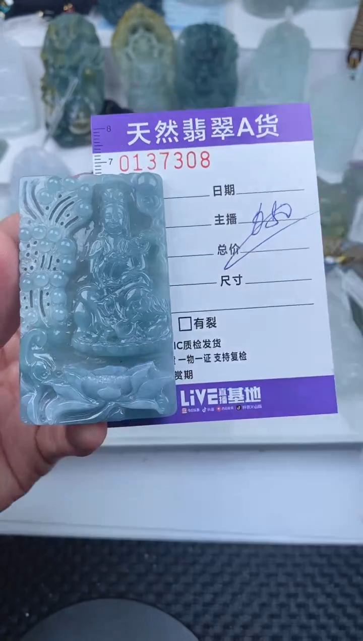 【闪购商品】翡翠颈饰未镶嵌       308