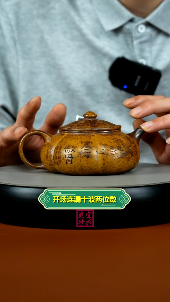 茶壶紫砂龙骨金砂柴烧寒梅傲骨筋纹寒江260cc