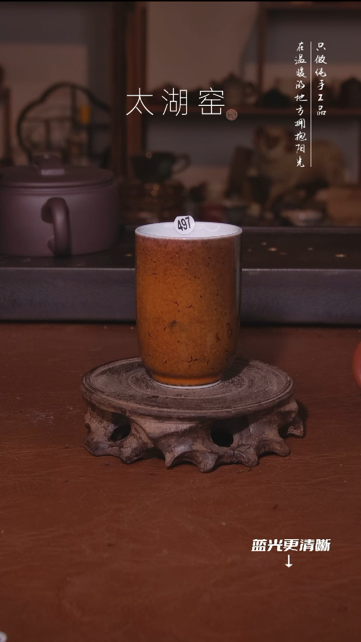 陶瓷太湖窑    497