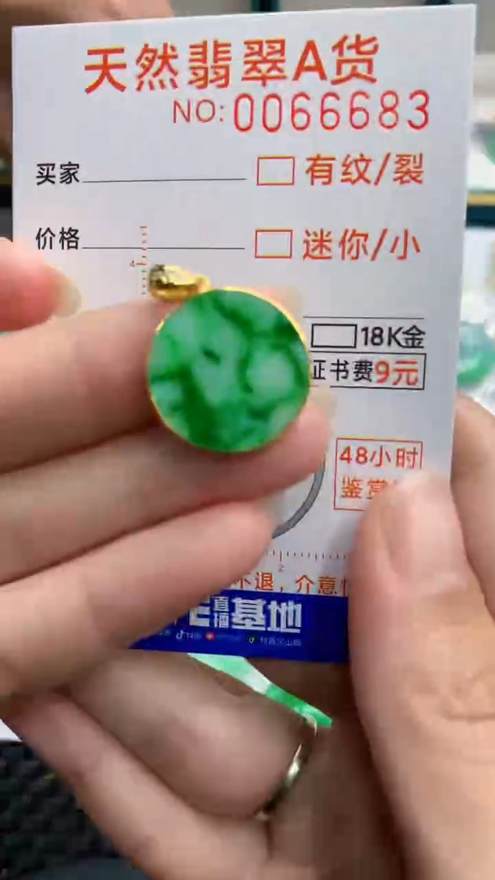 【闪购商品】翡翠颈饰银S925镶嵌            8