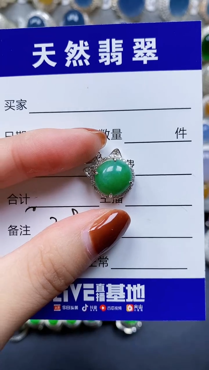 翡翠银S925镶嵌颈饰209