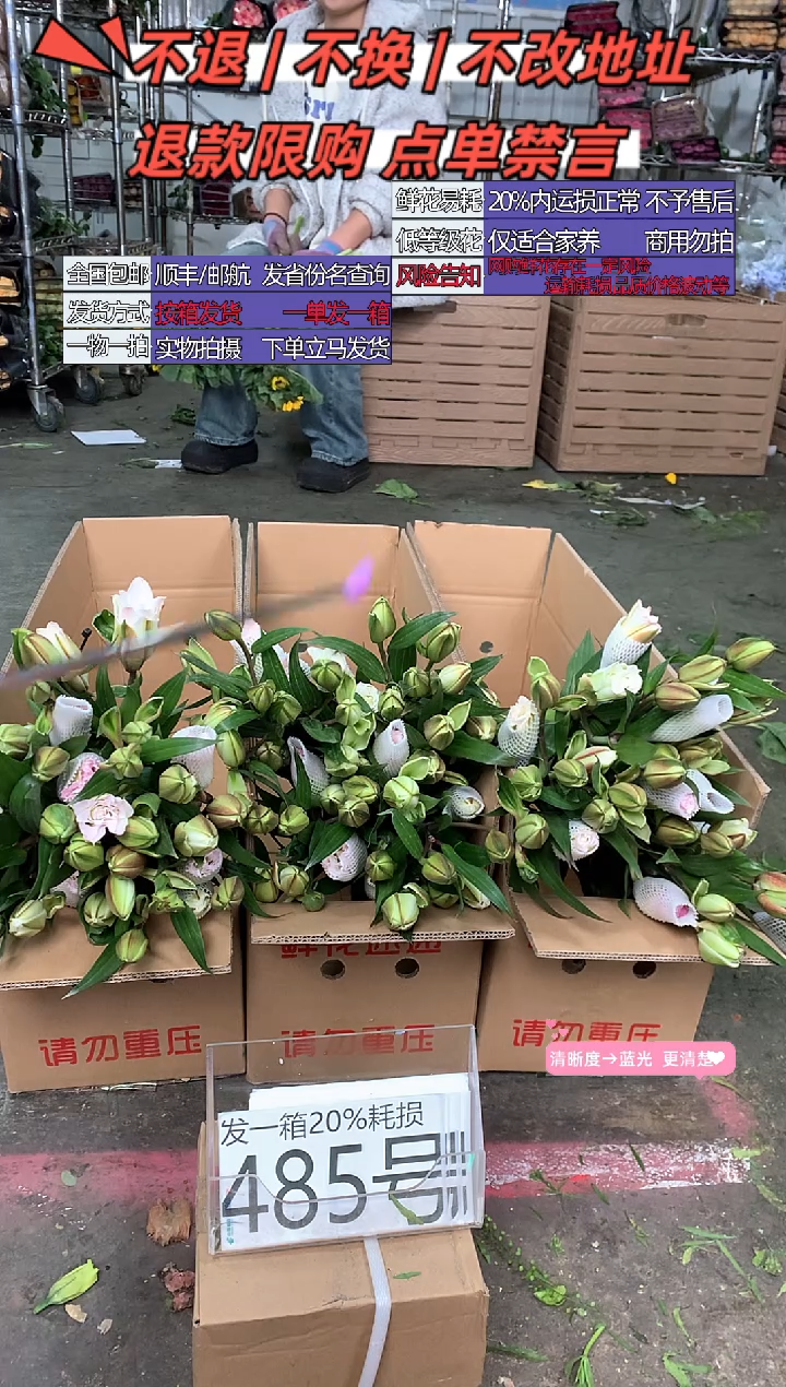 485号♥含20%耗损发一箱