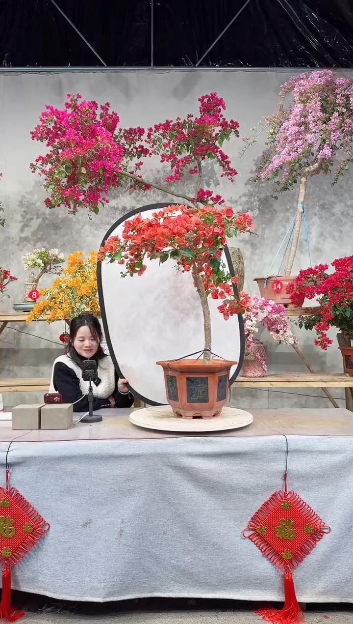 【闪购商品】盆景不甜西瓜