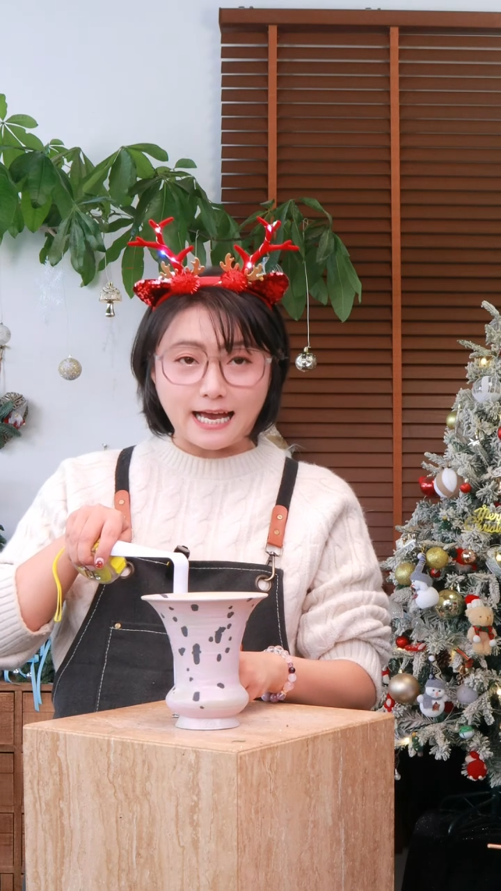 家**宝《花漾多圣诞专场》超美盆盆A299 中通包邮