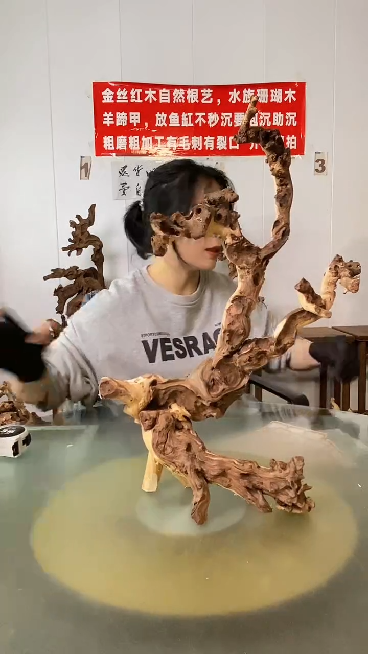 木用****8金丝红木 羊蹄甲