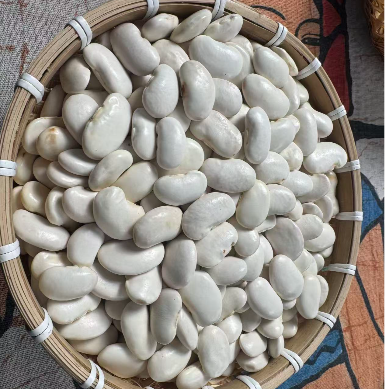 云南正宗大白芸豆五谷杂粮干货