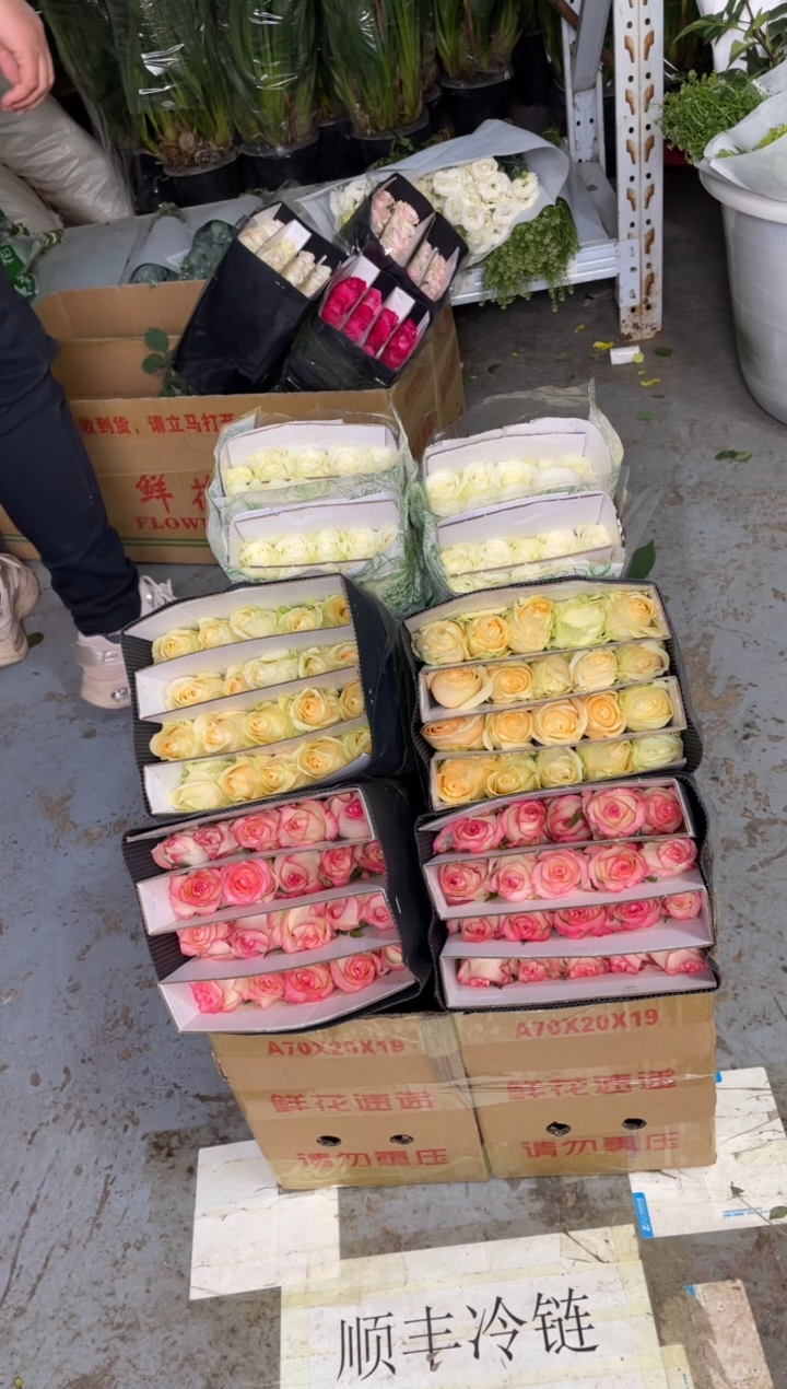 香槟20枝+艾沙20枝+骄傲20枝