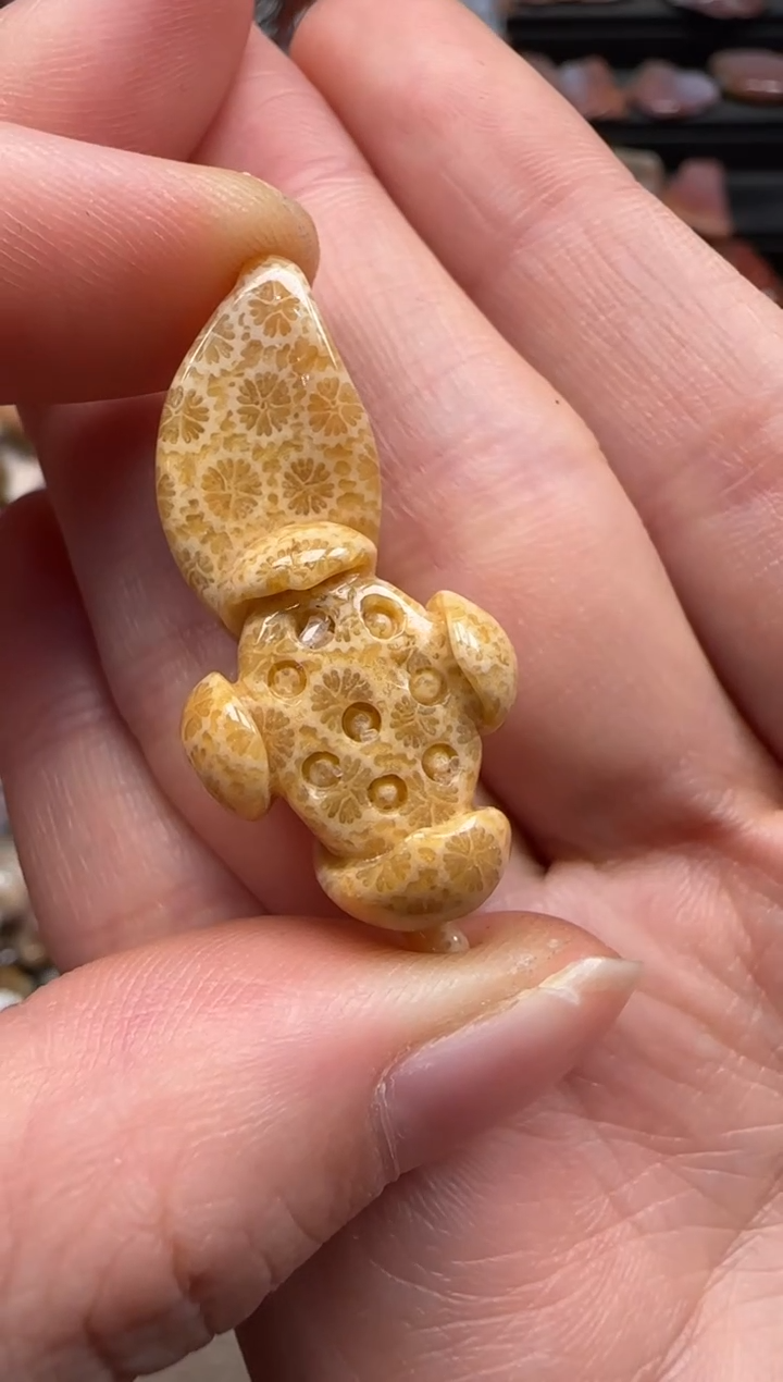 【闪购商品】硅化珊瑚（珊瑚玉）颈饰未镶嵌276