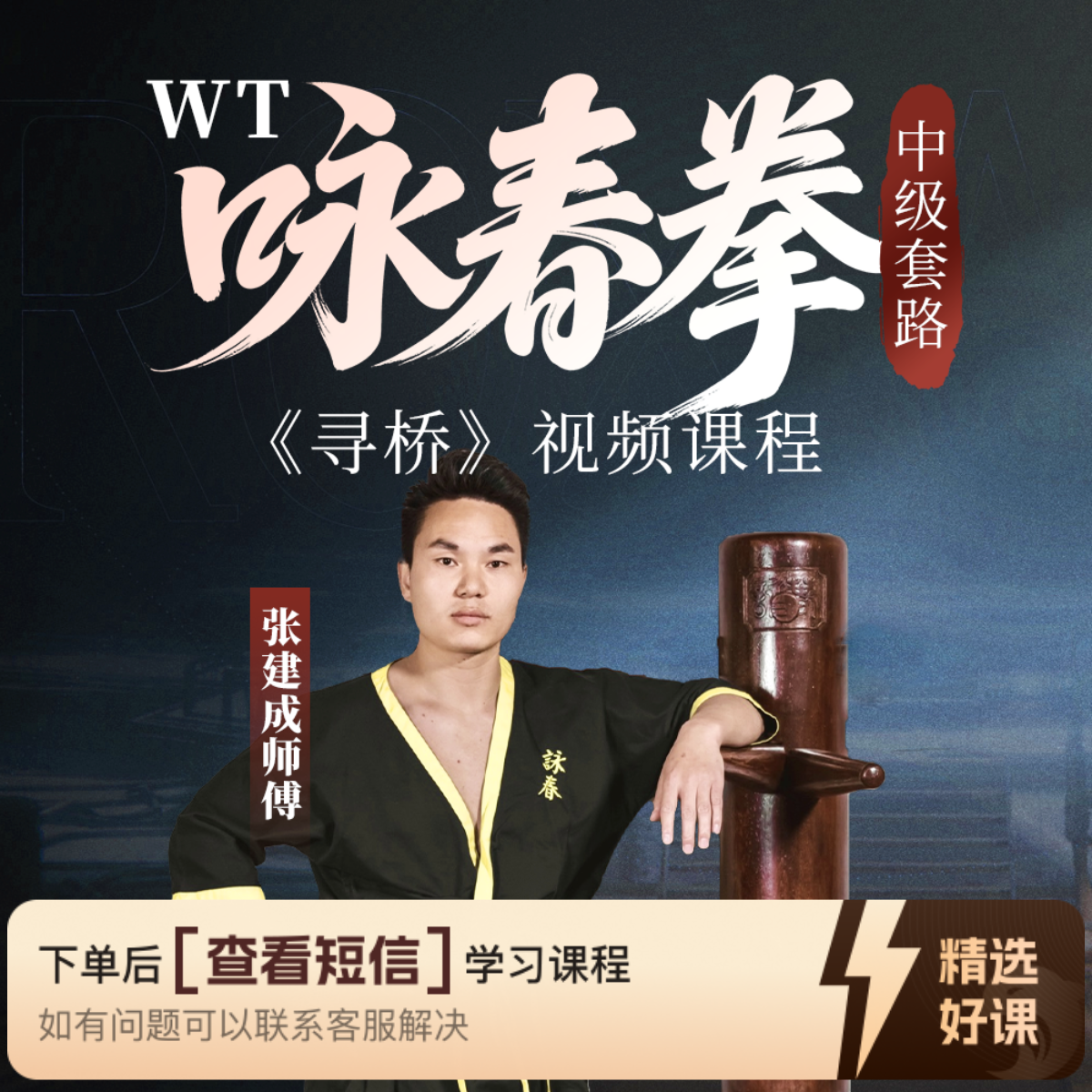 成功夫咏春拳《寻桥》视频课（留意短信解锁课程）