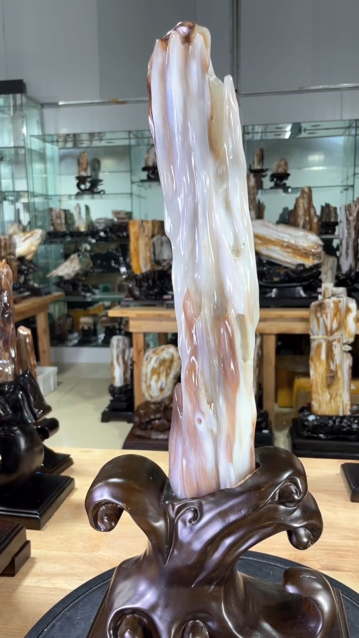 【闪购商品】硅化玉珠宝奇石未镶嵌750