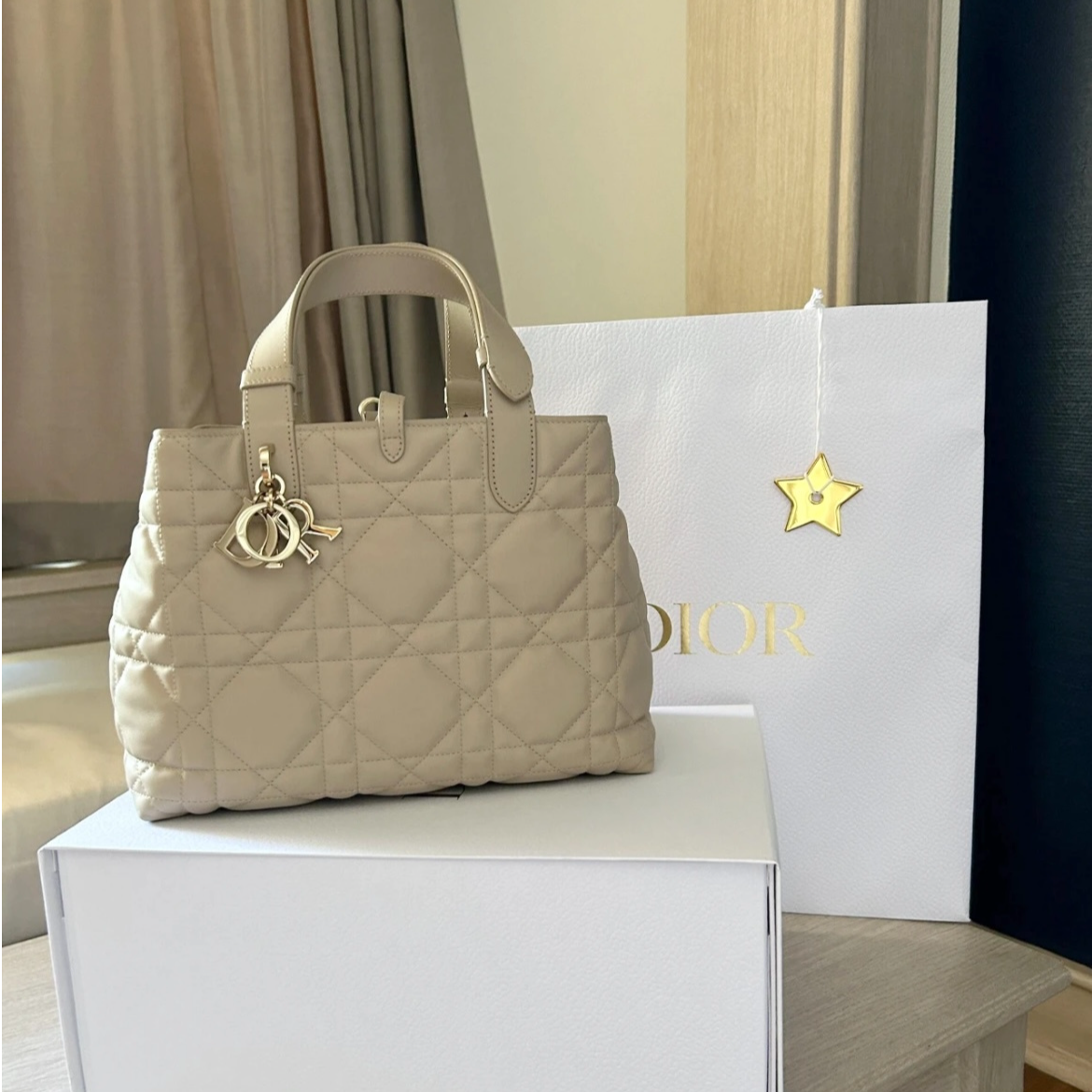 99新 DIOR/迪奥 奶茶色金扣 Toujours 土著包  中号 闲置