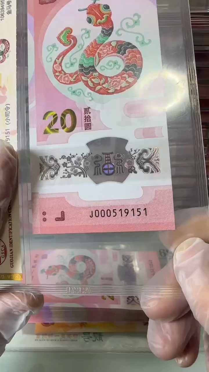 【闪购商品】塑料蛇钞单张-000519151