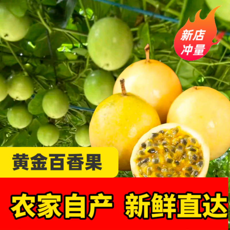 （1）钦蜜9号百香果新鲜现摘当季水果香甜多汁