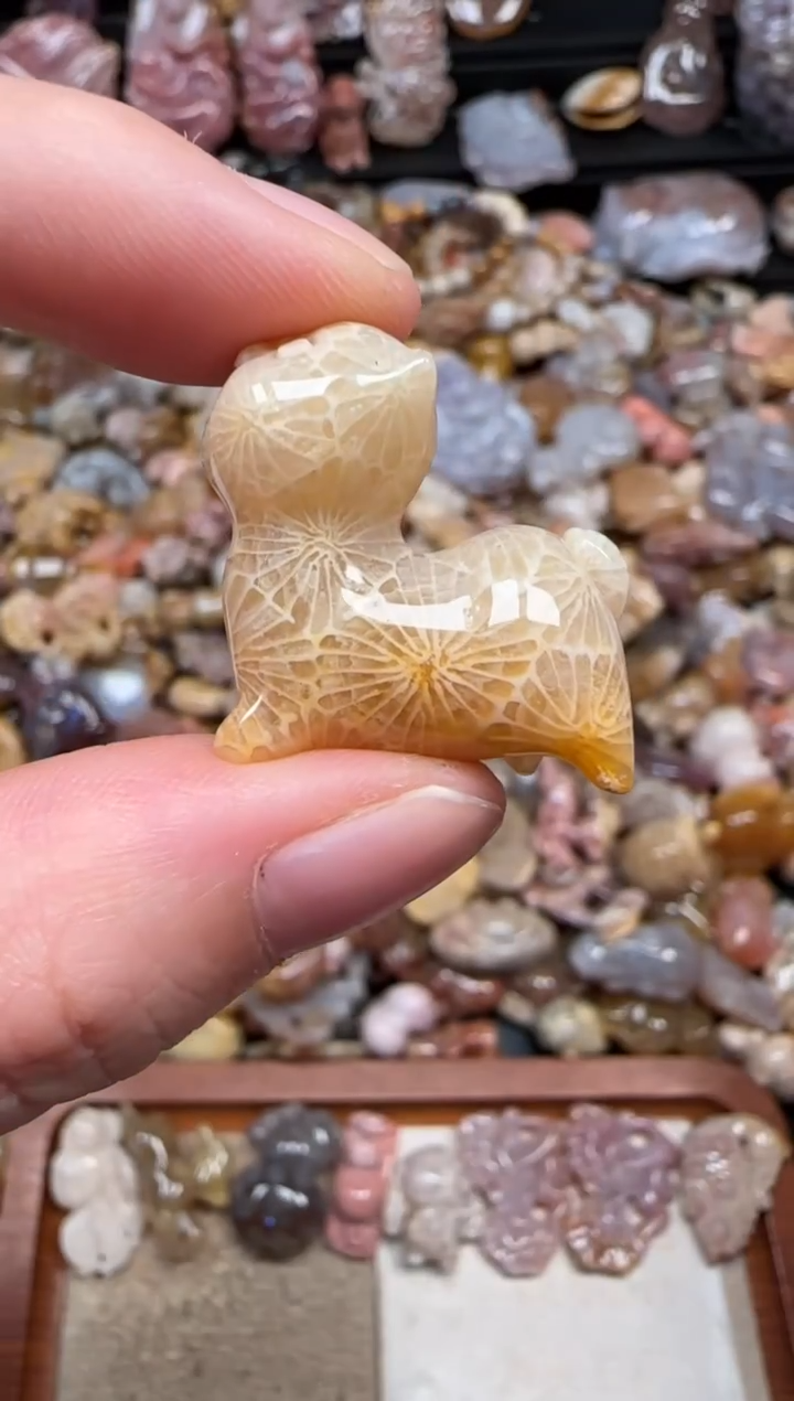 颈饰未镶嵌硅化珊瑚（珊瑚玉）646