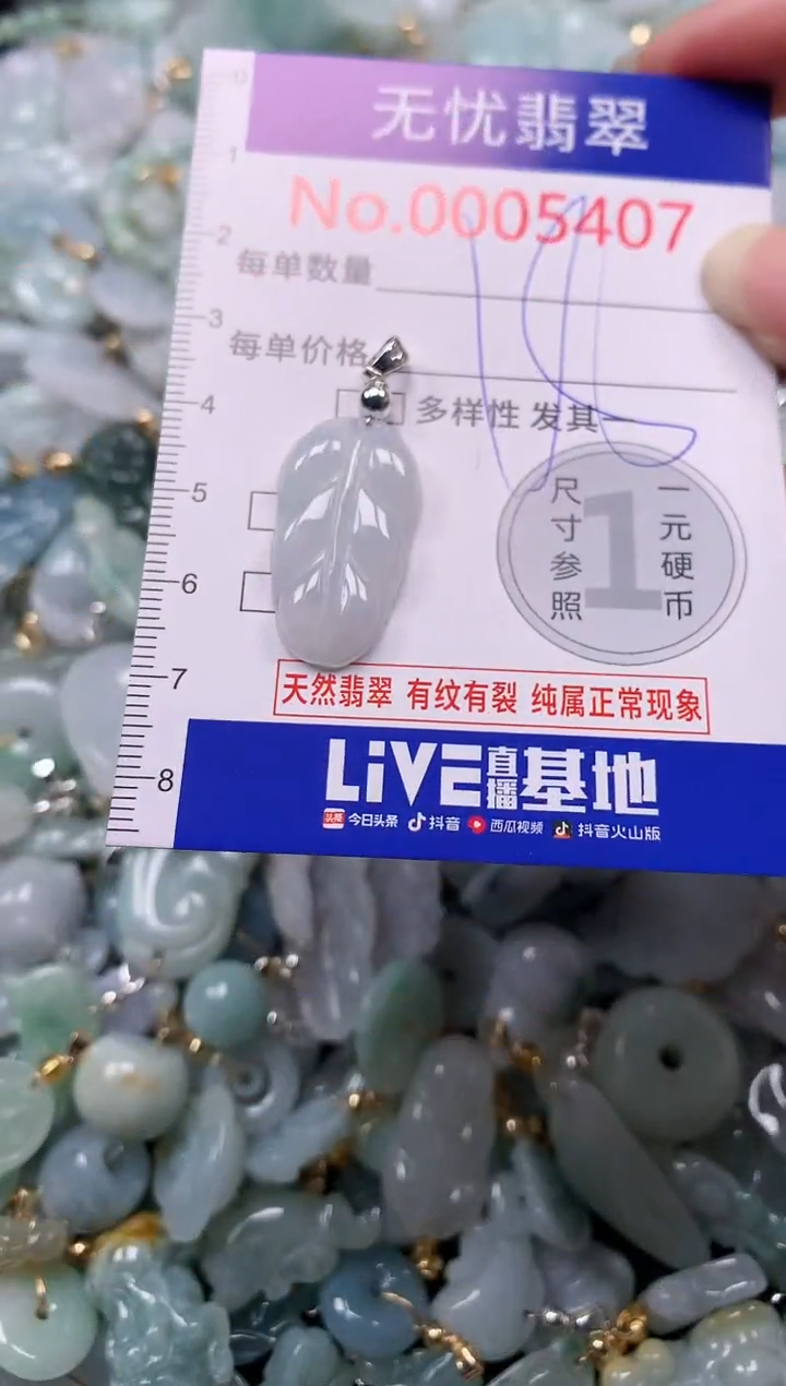 吊坠(不含链)未镶嵌翡翠5407