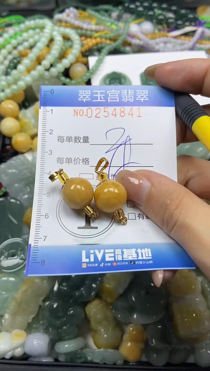 颈饰未镶嵌翡翠闪购C0254841