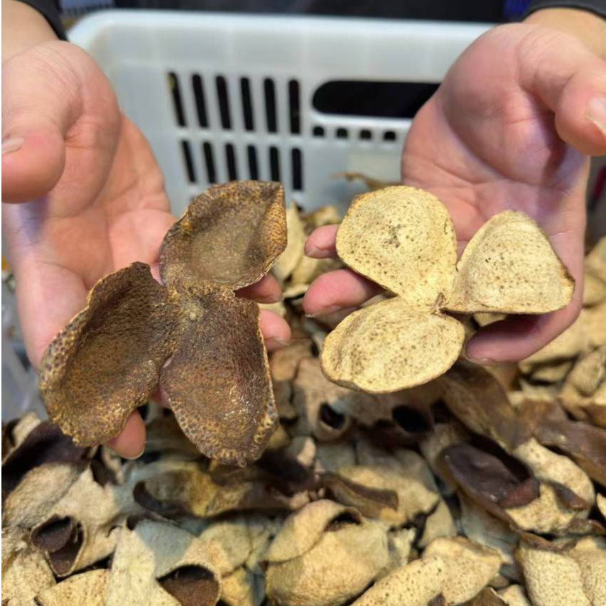 正宗新会陈皮8年老陈皮广东特产陈皮茶天马核心产区完整皮