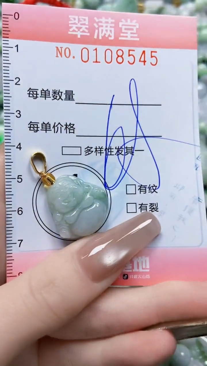 【闪购商品】翡翠颈饰未镶嵌闪购0108545