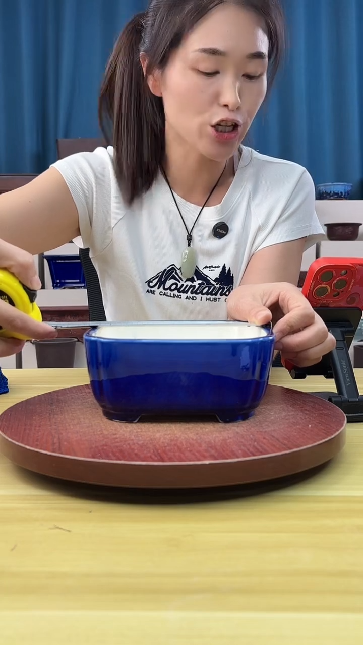 紫砂花盆花盆浅草紫砂花盆