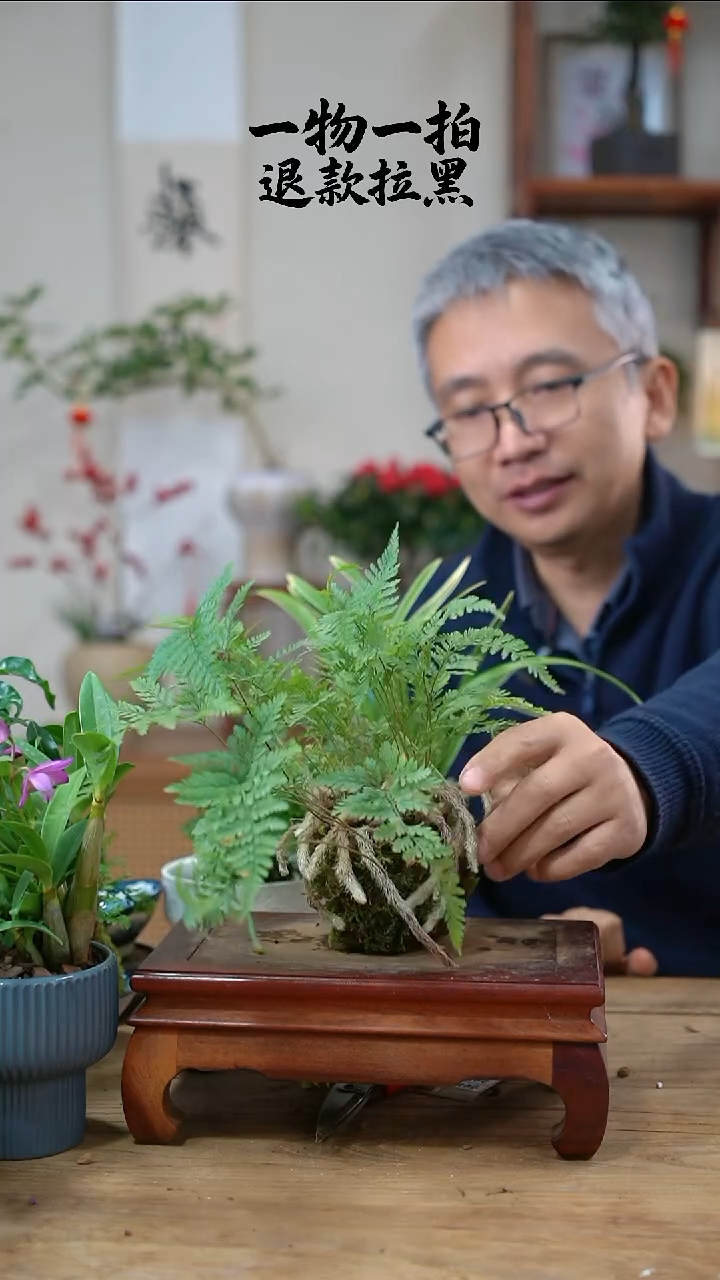 完全开放学**吖蕨463