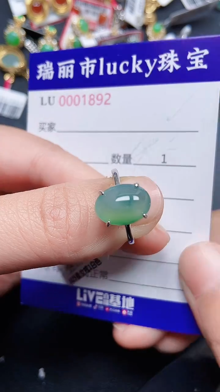 颈饰银S925镶嵌翡翠1892