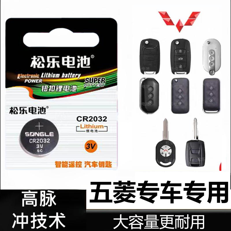 适用于五菱汽车宏光MINIEV五菱NanoEV五菱缤果车钥匙纽扣电池