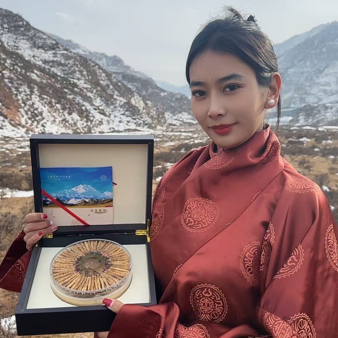 精选均2根/克 100根2025年干冬虫夏草送礼滋补食用礼盒款