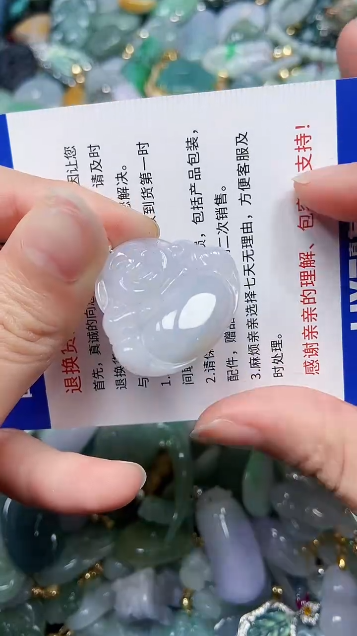 【闪购商品】翡翠颈饰未镶嵌闪购00005608