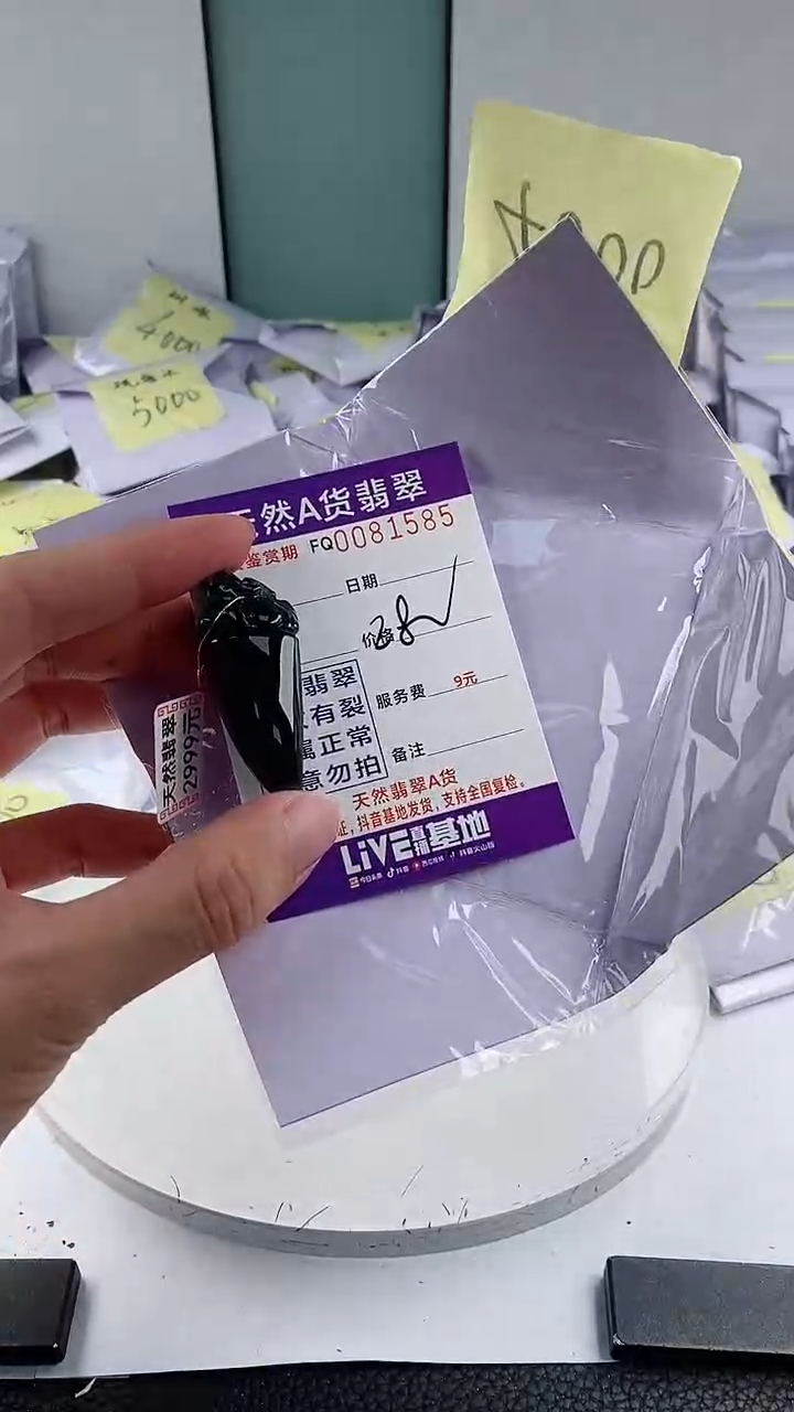 翡翠未镶嵌颈饰            