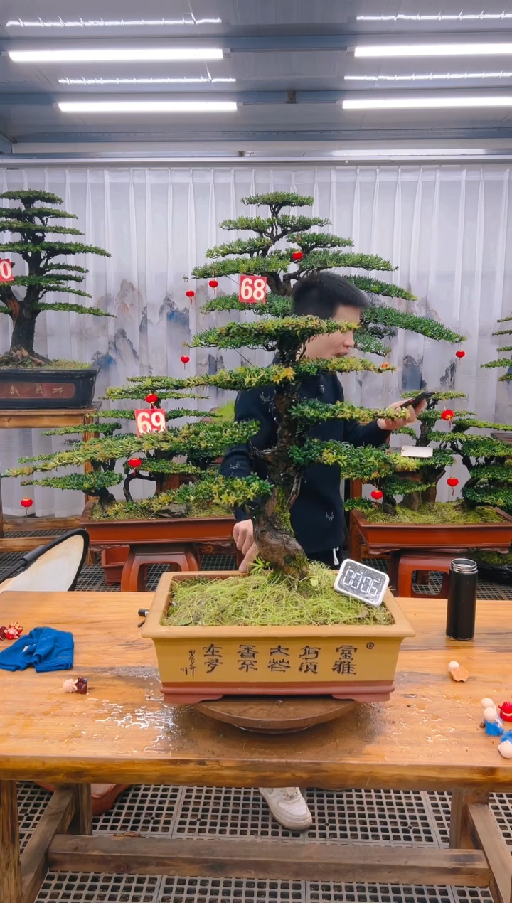 【闪购商品】紫砂精品盆景直播间一物一拍