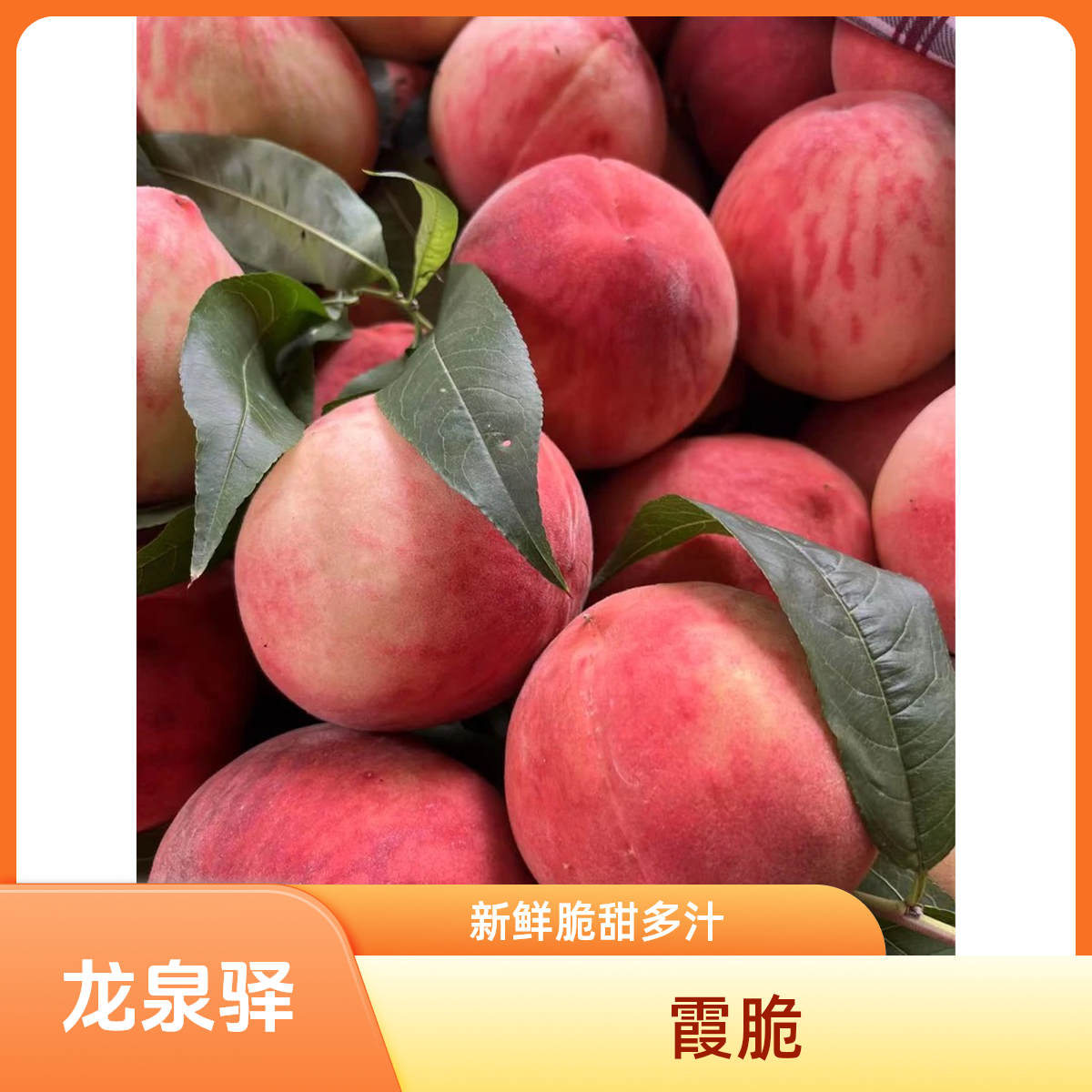 龙泉驿 霞脆 脆桃 纯甜无酸 脆甜多汁