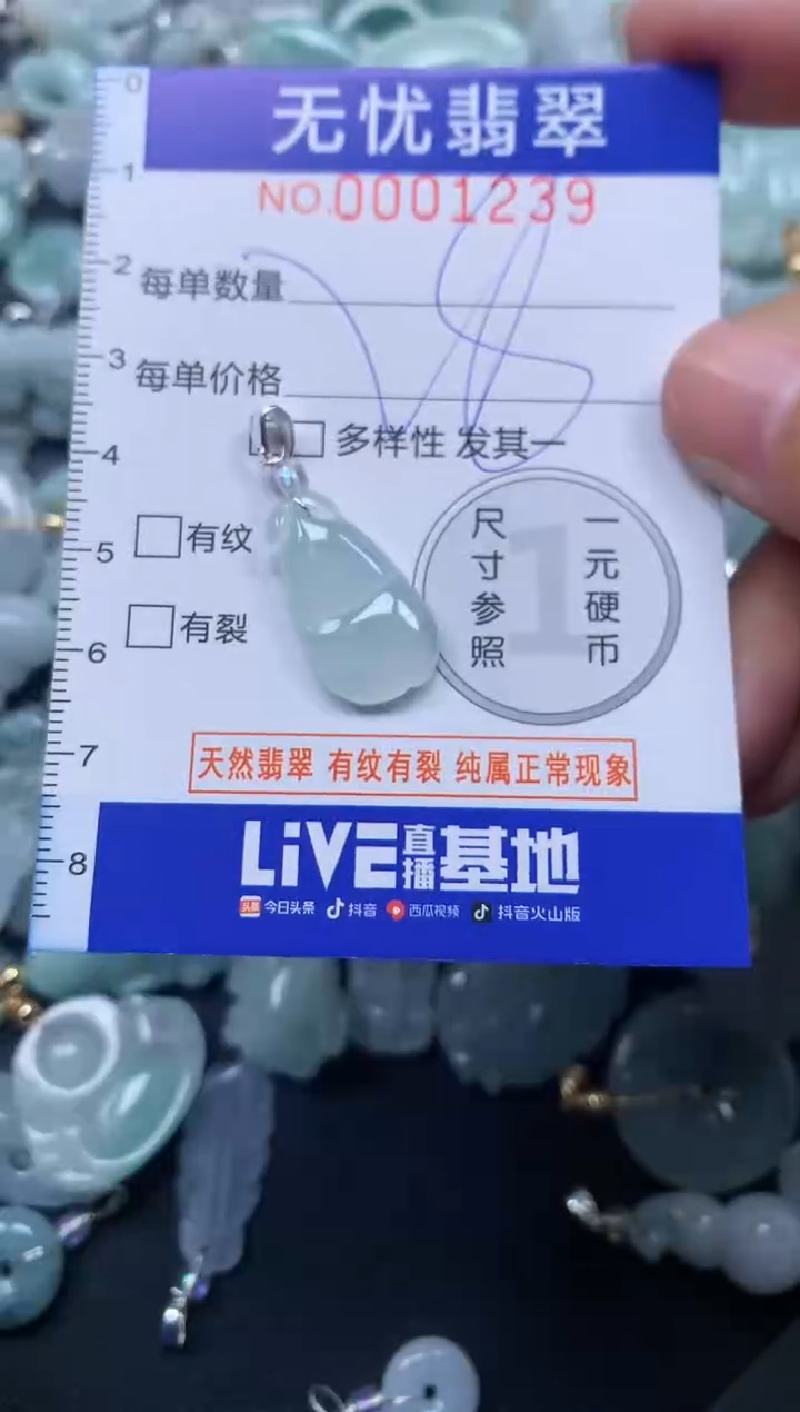 颈饰未镶嵌翡翠1239