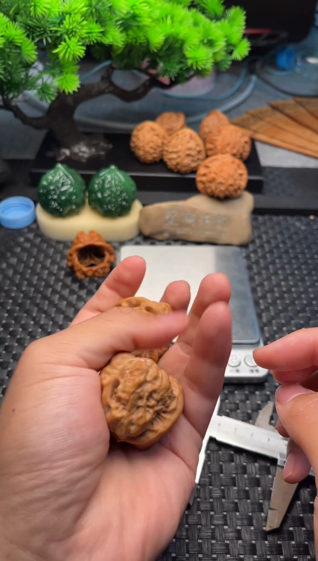 文玩核桃把件天意神珠蛤蟆头（怀柔蒋哥家）