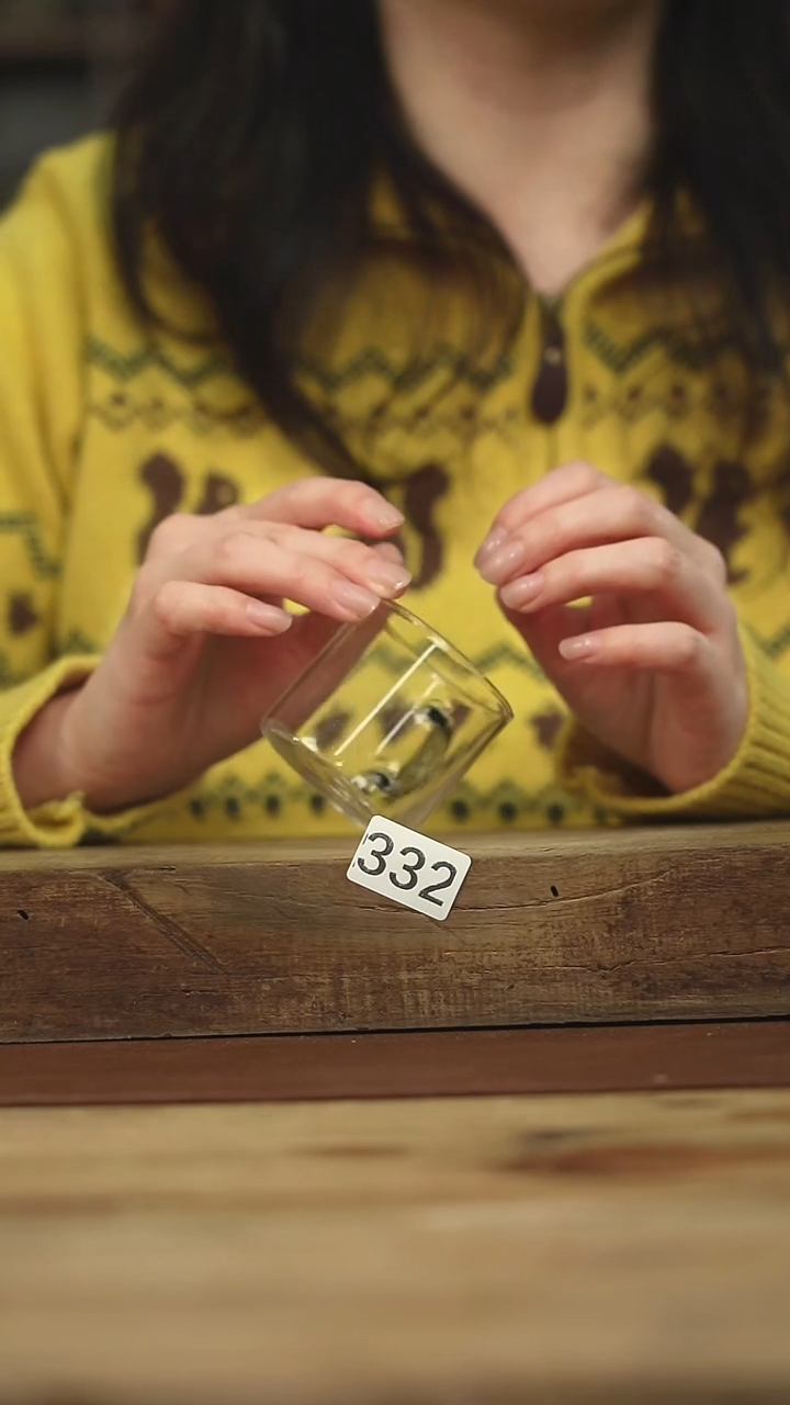 不顾一切 落单系列杯