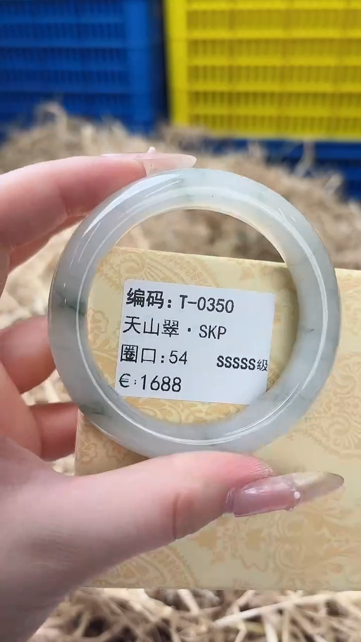 未镶嵌手镯石英质玉T-0350