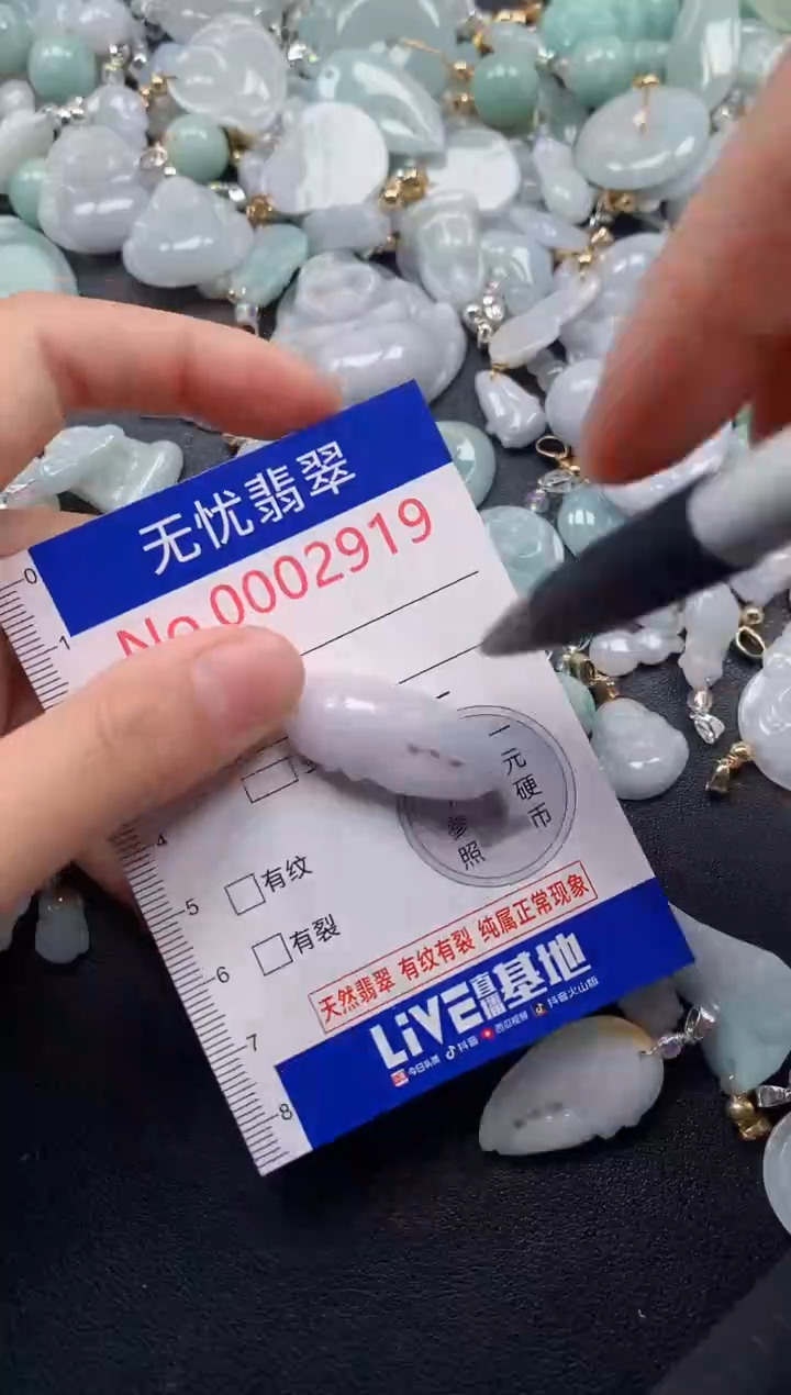 颈饰未镶嵌翡翠2919