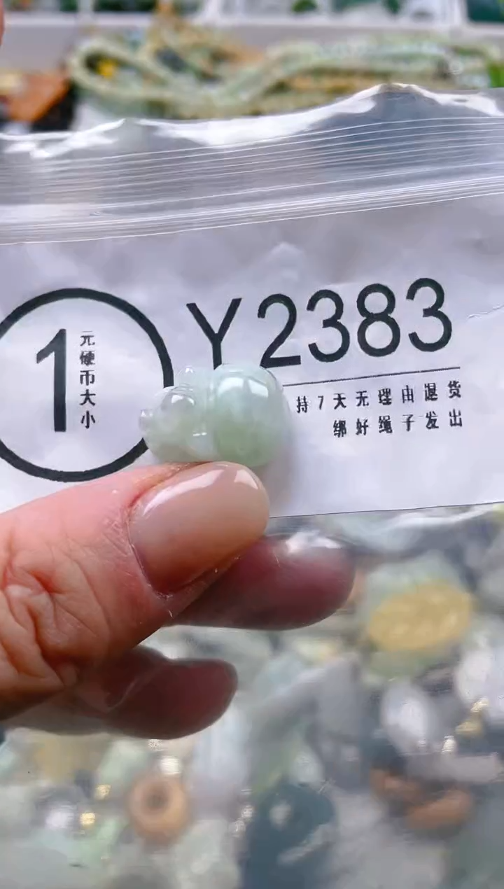 【闪购商品】翡翠颈饰未镶嵌/Y/翡翠A货一图一物