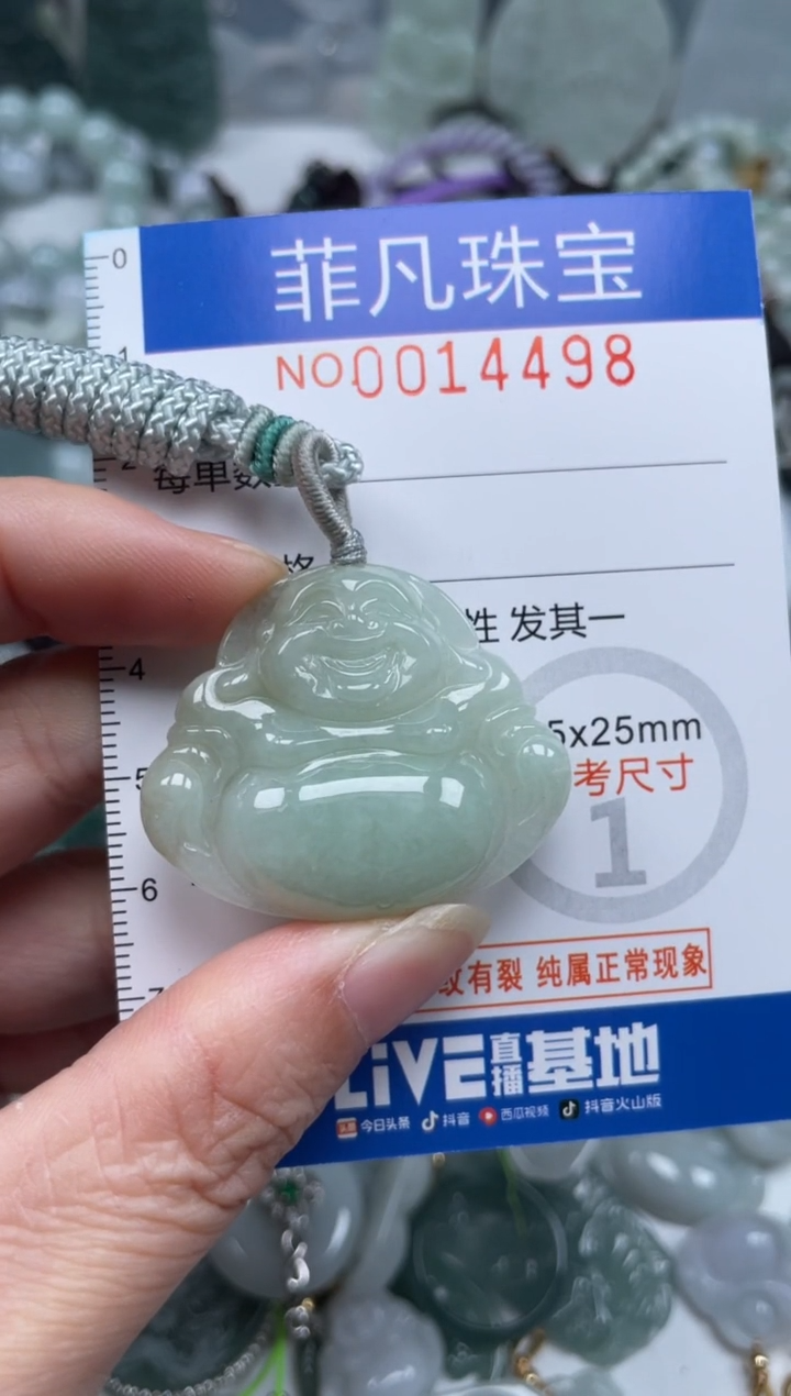 颈饰未镶嵌翡翠14498