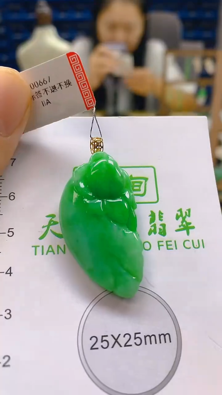 颈饰18K金镶嵌翡翠新号开播 全场乱卖