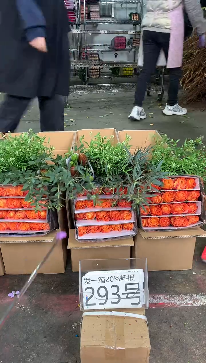 293号♥中通含20%耗损发一箱鲜花