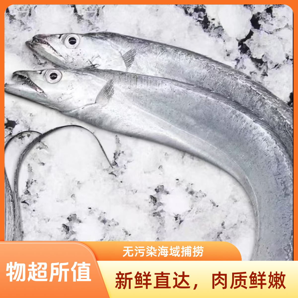 东海热气钓带鱼~到手6条3斤~冰鲜发货~顺丰包邮