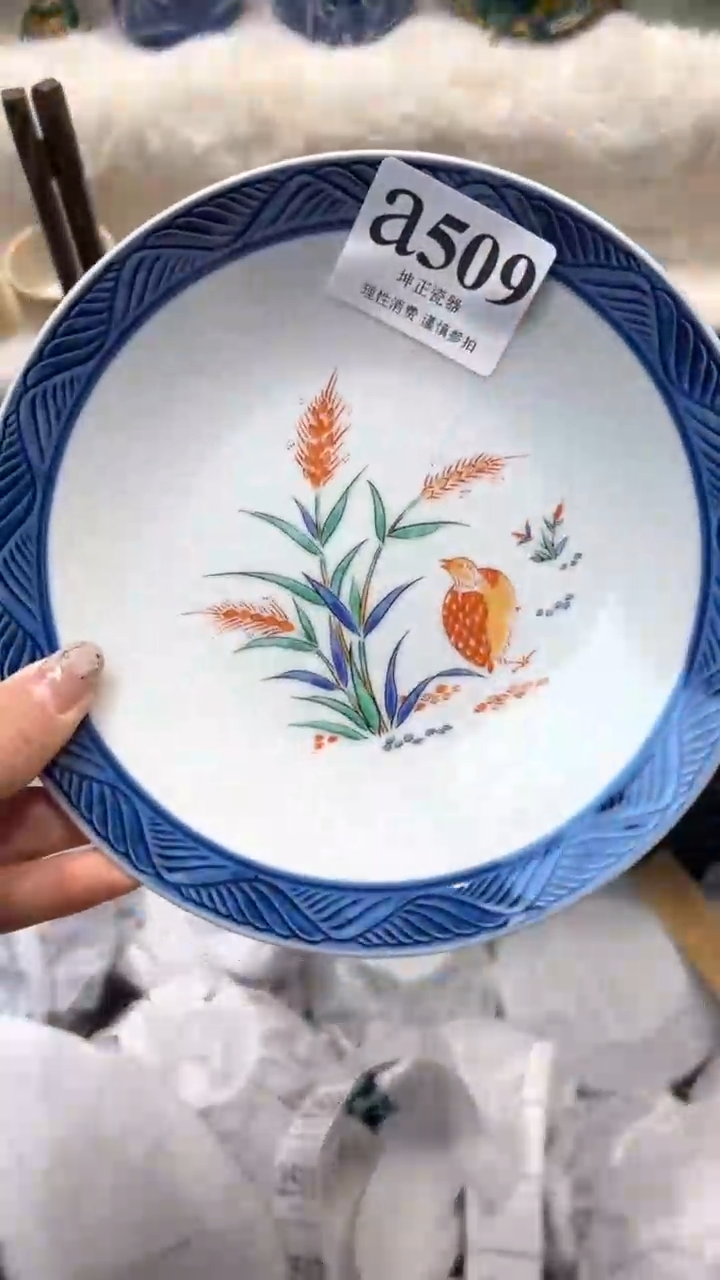 【闪购商品】瓷片          a509