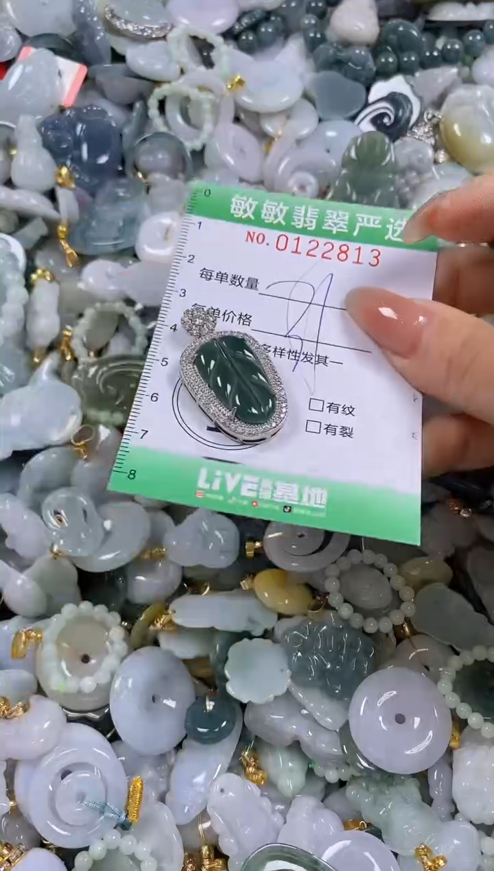 【闪购商品】翡翠颈饰未镶嵌闪购0122813