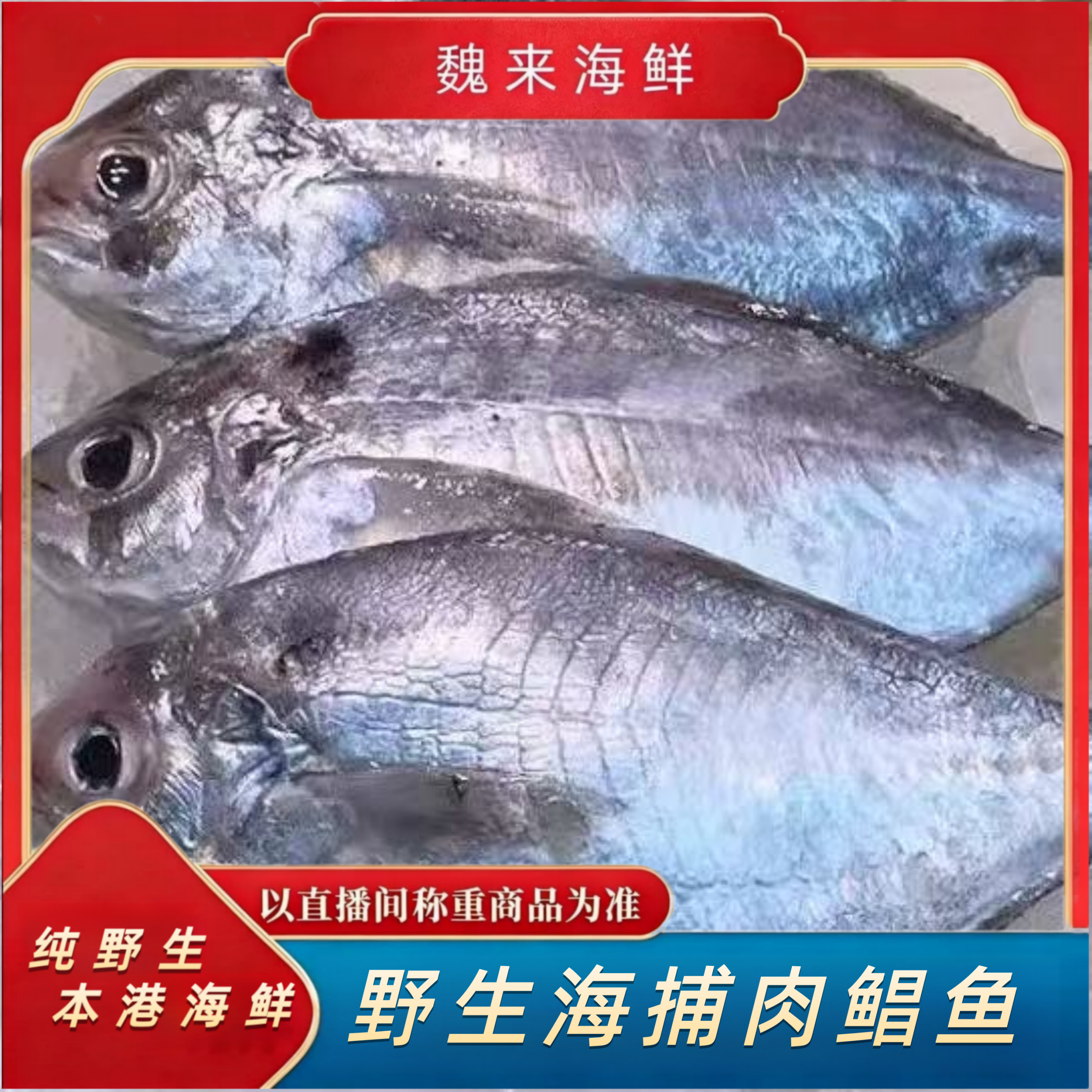【魏来海鲜】海捕野生肉鲳鱼冷链到家冷冻食用冰鲜