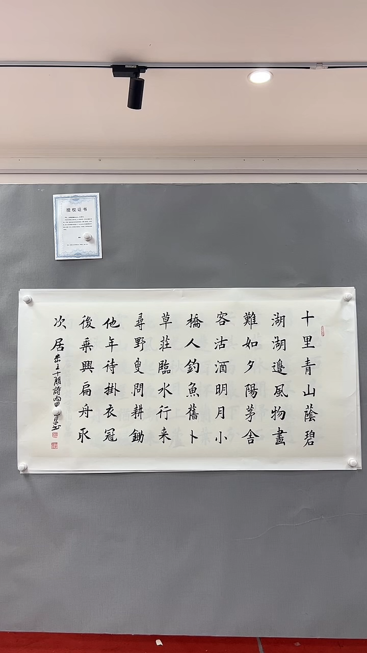 【闪购商品】书法雅艺典藏文化书法