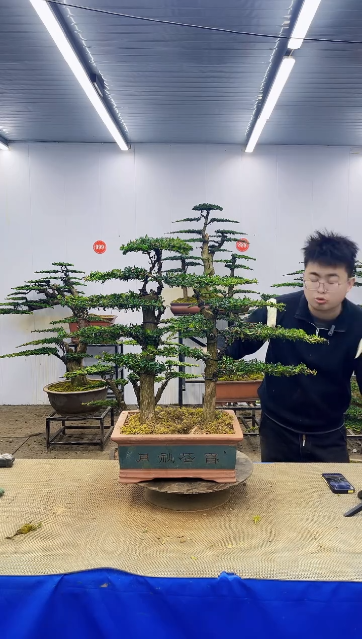 完全开放一物一拍，所见即所得