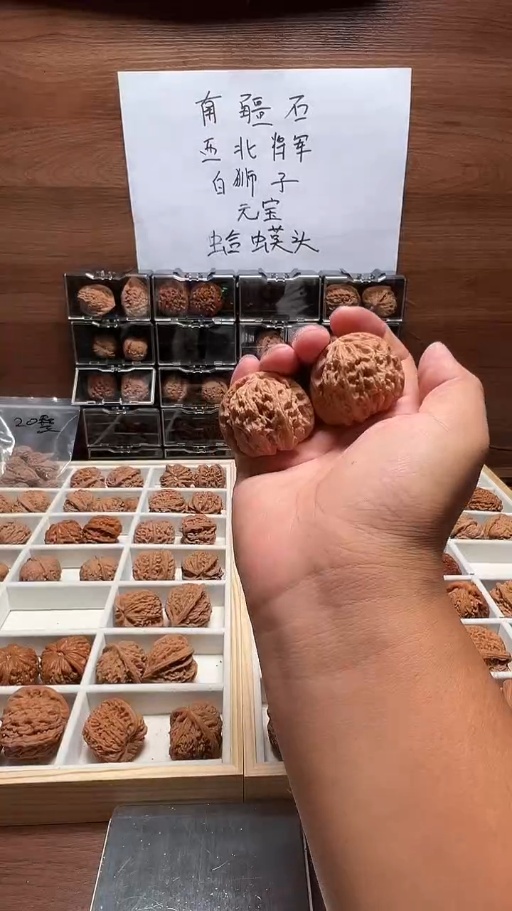 把件文玩核桃?*C白狮子